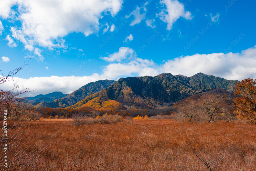 日光国立公園　紅葉した戦場ヶ原