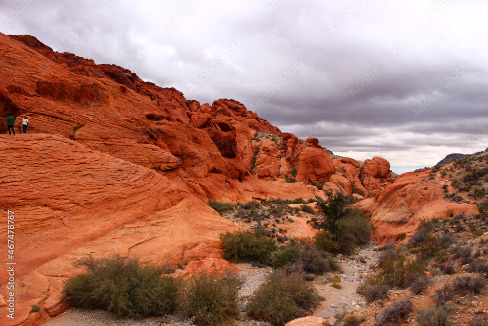 Fototapeta premium レッドロックキャニオン