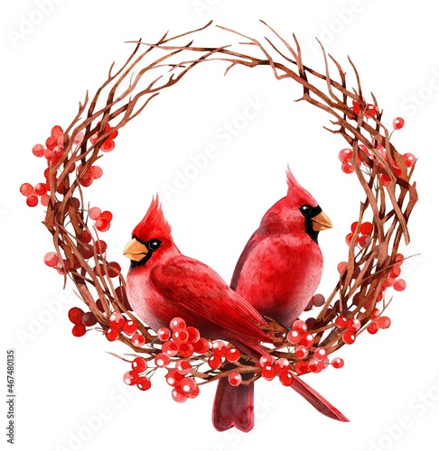 Wallpaper Mural Watercolor cliparts. Christmas and winter red bird cardinals.
