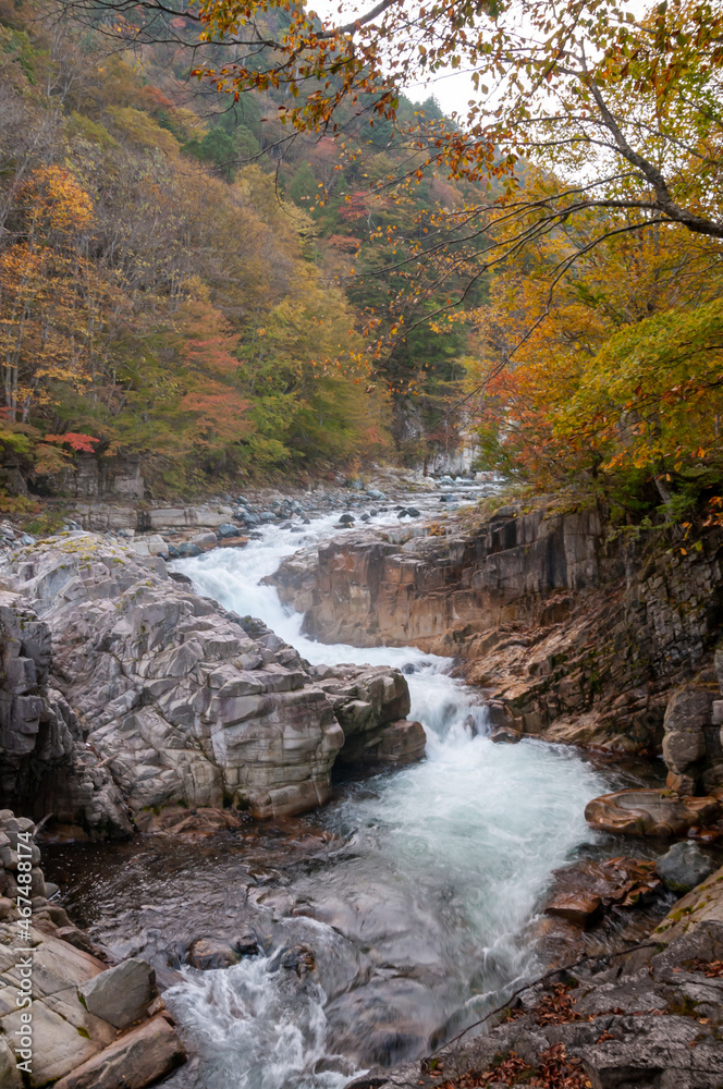 Obraz premium 屏風岩 南会津