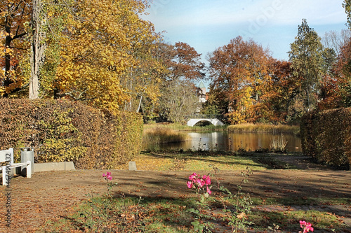 Schlosspark Senftenberg photo