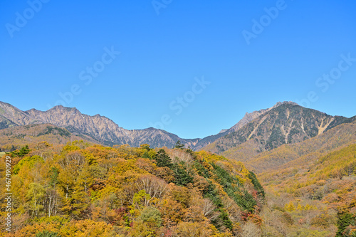 八ヶ岳の紅葉 © Kazuyoshi  Ozaki