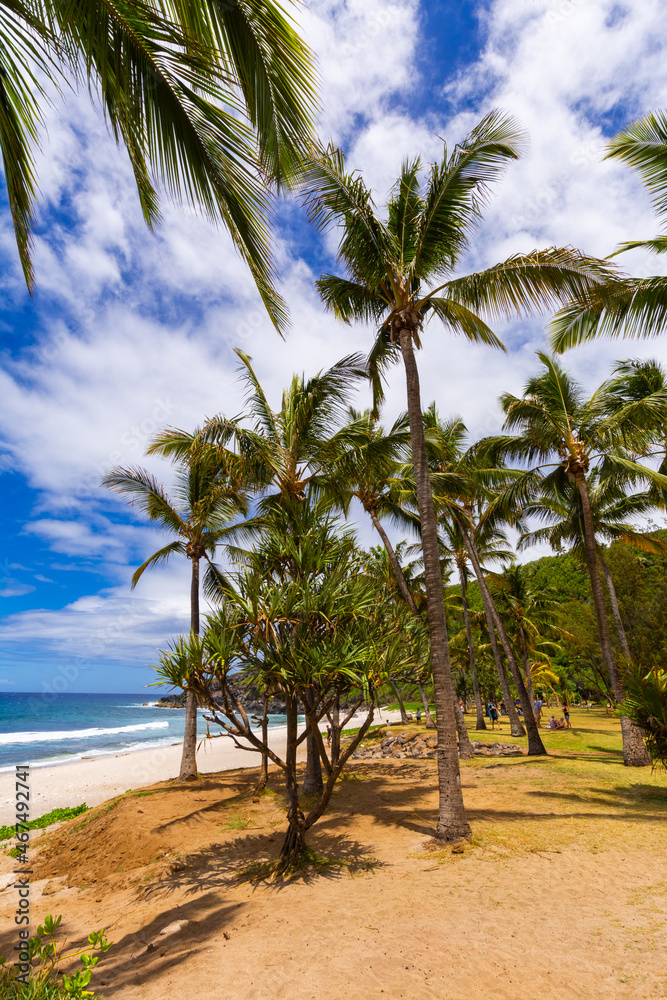 Coconut, sand and blue sky at Grande Anse Beach, Reunion Island