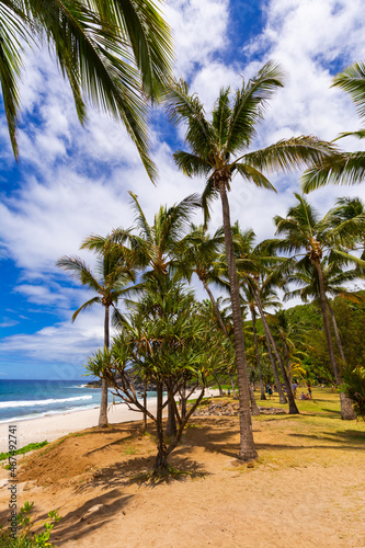 Coconut, sand and blue sky at Grande Anse Beach, Reunion Island