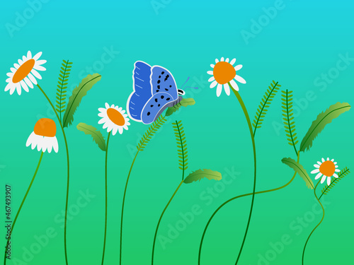 A beautiful butterfly perched on a beautiful plant too