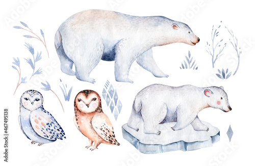 polar owl arctic animals watercolor collection set. snowy owl. polar bear. fox. penguin  walrus. seal and oeca  hare whale