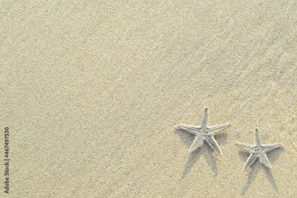 Summer background. Starfish on sand background. Close up. Summer background. Starfish on sand background. Close up.
