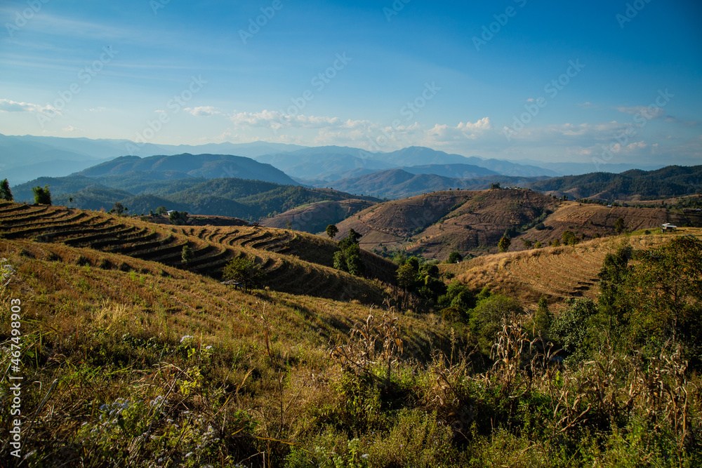 Naklejka premium landscape in the mountains