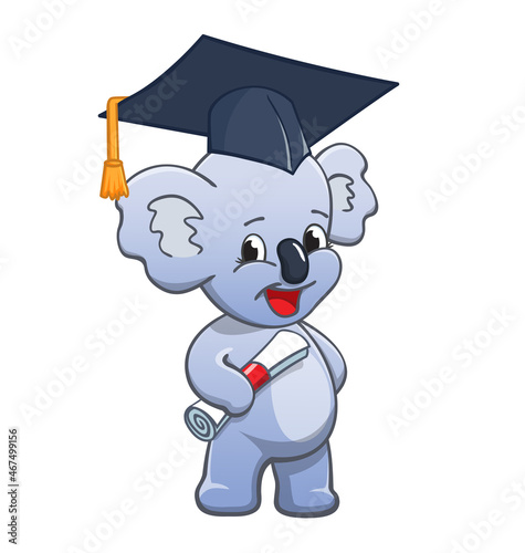Photography cute cartoon koala graduating