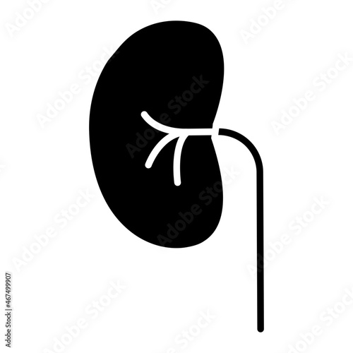 Kidney icon in editable style