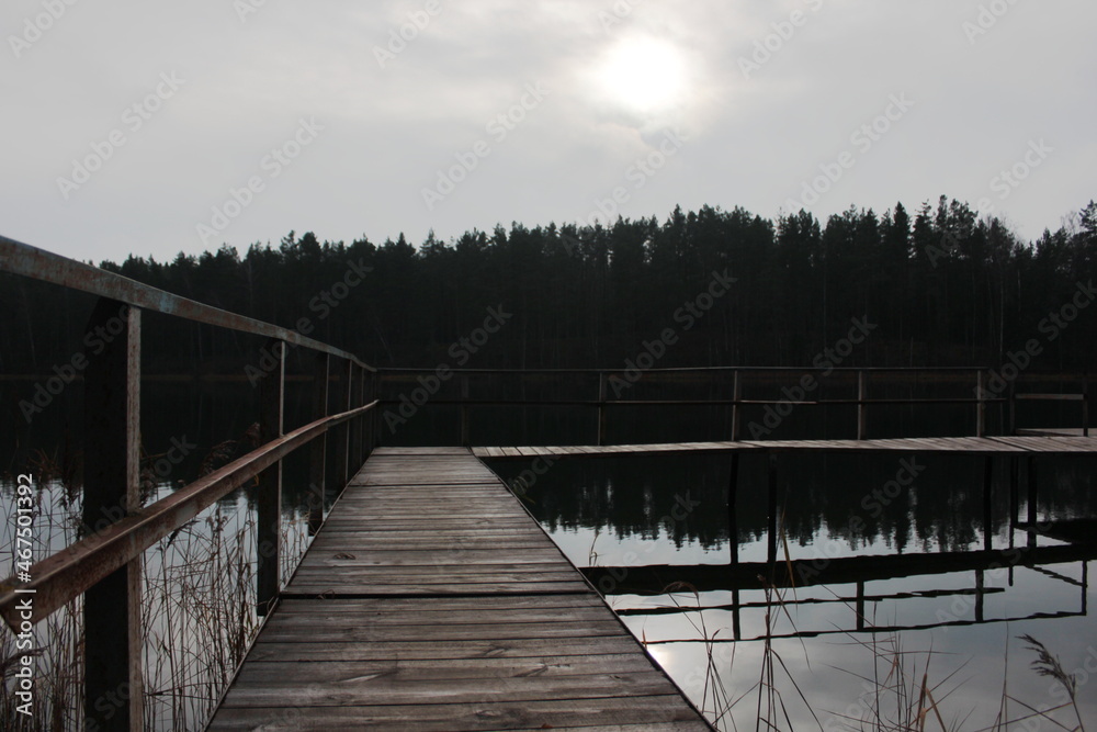 Naklejka premium Russian forest....