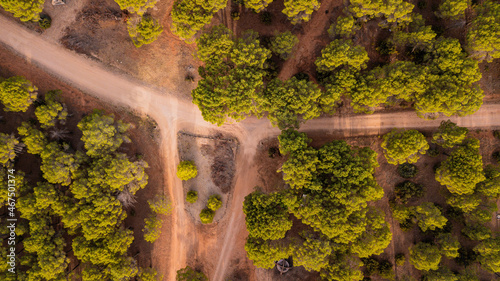 Aerial vertical view of country side with off road and forest of trees. Woods and environment above landscape. Nature park outdoors travel concept