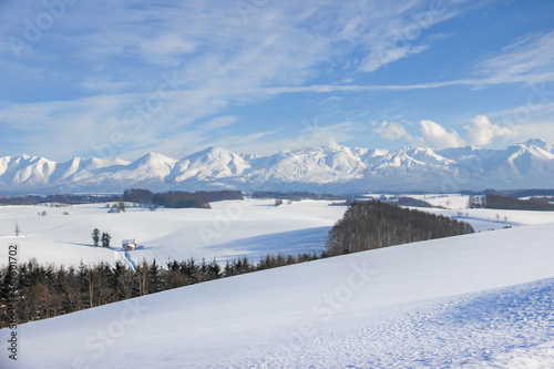 冬の丘とカラマツ林と雪山  © まり子 佐藤