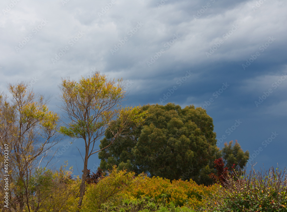 A Stormy afternoon in the suburbs A Stormy afternoon in the suburbs