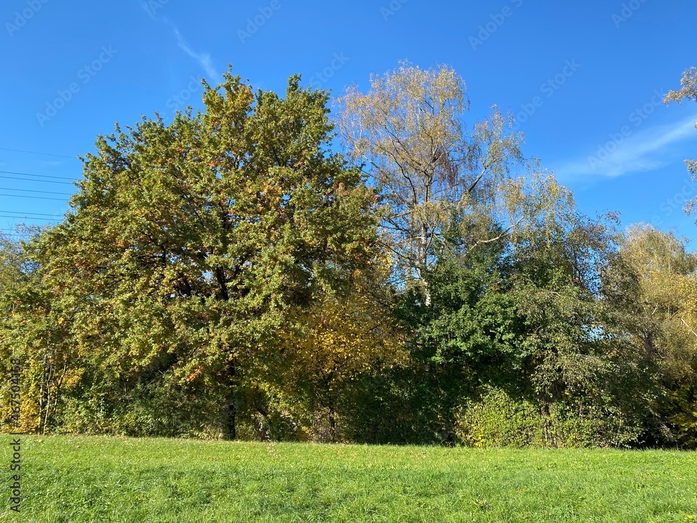 Naklejka premium Early autumn landscape in parks and along recreational trails in the city of Zürich (Zuerich or Zurich), Oerlikon - Switzerland (Schweiz)