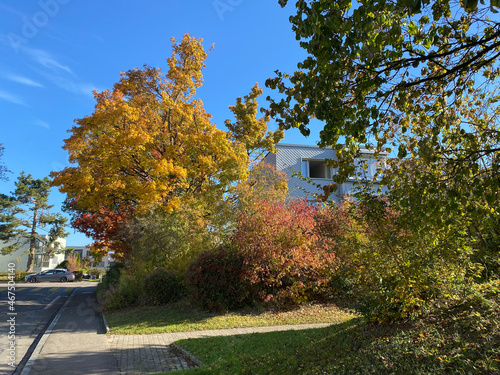 Early autumn landscape in parks and along recreational trails in the city of Zürich (Zuerich or Zurich), Oerlikon - Switzerland (Schweiz)