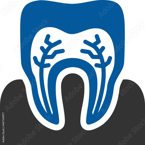 teeth roots