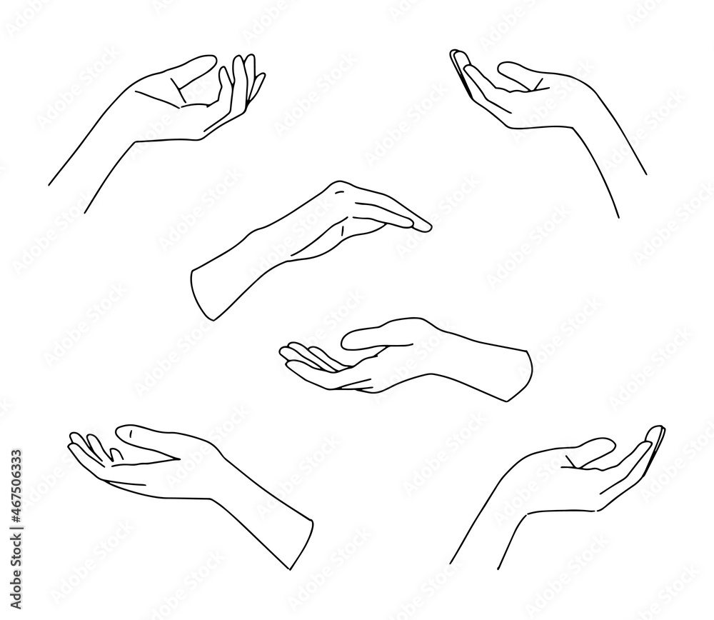 Set of linear hands, elegant woman hands. Set of linear hands, elegant woman hands.