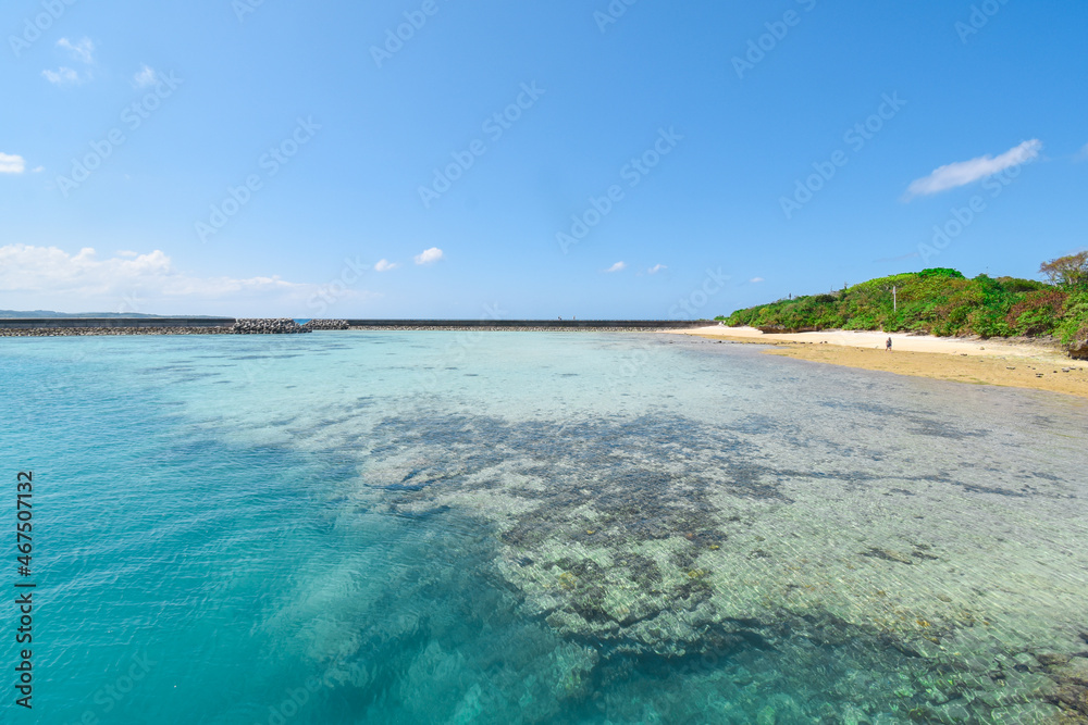 Obraz premium Beautiful tropical ocean with clear blue sky and blue clear ocean at Hatoma Island, Okinawa, Japan. Clear ocean with corals at Pier