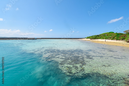 Fototapeta Naklejka Na Ścianę i Meble -  Beautiful tropical ocean with clear blue sky and blue clear ocean at Hatoma Island, Okinawa, Japan. Clear ocean with corals at Pier