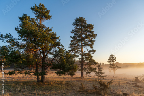 Fototapeta Naklejka Na Ścianę i Meble -  Rußberg bei Tuttlingen im Herbst