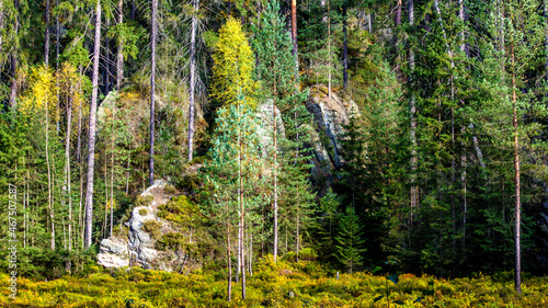 A rock town in Adrspach in autumn