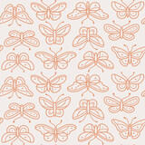 Contour vector pattern with butterfly. Different type of butterfly. 