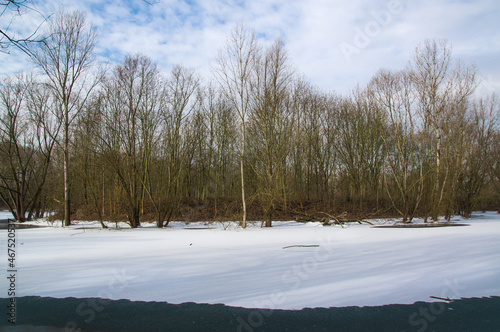 Wallpaper Mural A winter forest landscape with frosty pond. Torontodigital.ca