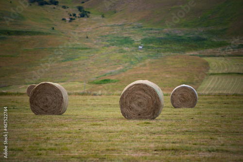 Rural landscape with hay bales in a field in summer