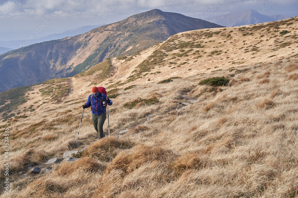 Tourists with backpacks at the top of the ridge. Ukrainian Carpathian mountains. Chornohora ridge.