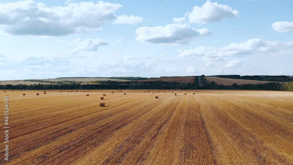 Aerial photography of wheat fields with haystacks Aerial photography of wheat fields with haystacks
