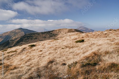 Chornogora ridge. Sunny autumn day in the mountains. Ukrainian Carpathian mountains. © Vitaly