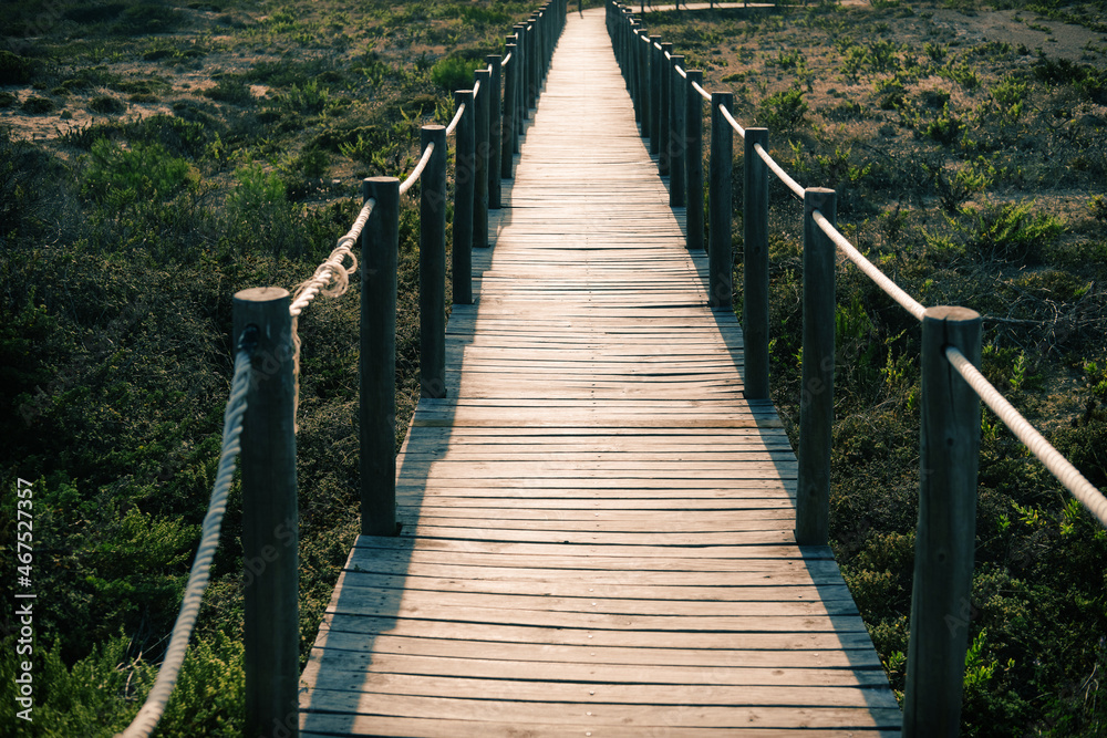 wooden walkway bridge in dunes by the ocean in Portugal