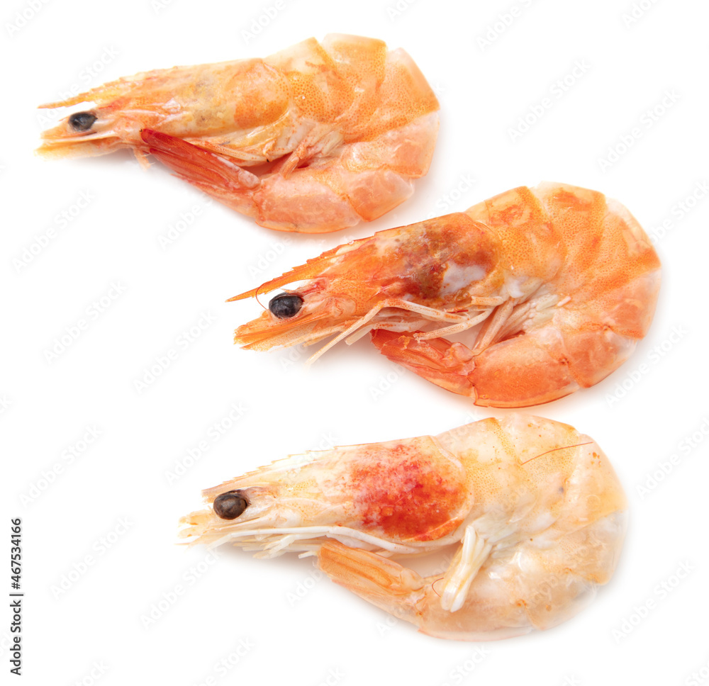 Red shrimps isolated on a white background. Red shrimps isolated on a white background.
