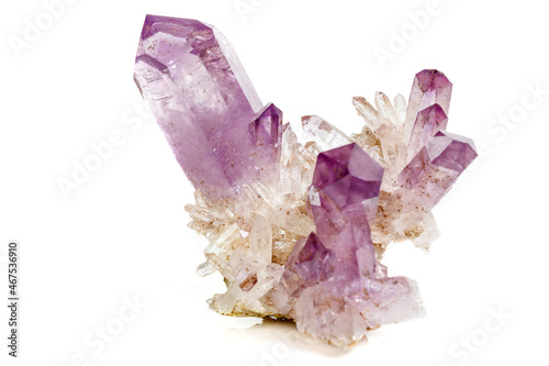 Фотография Amethyst Crystal Druse  macro mineral on white background