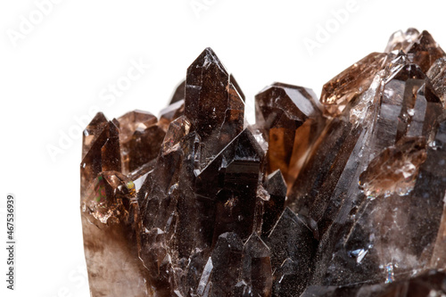 Macro mineral stone Morion crystal in the rock a white background