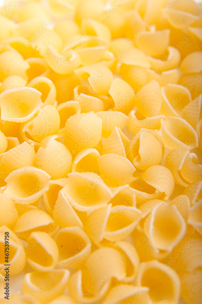 Raw shell pasta background. Uncooked Italian conchiglie on a white background Raw shell pasta background. Uncooked Italian conchiglie on a white background