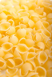 Raw shell pasta background. Uncooked Italian conchiglie on a white background