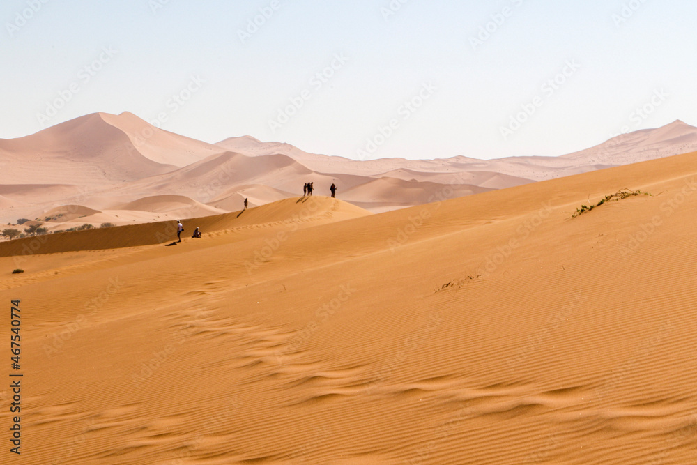 windswept footprints across sand dunes in Namibia