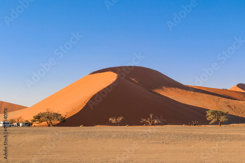 landscape in the desert