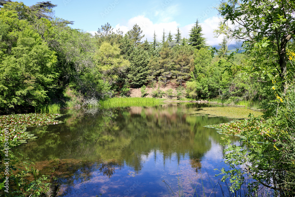 Forest mountain lake in the coniferous forest. Taiga, forest, pond. Forest mountain lake in the coniferous forest. Taiga, forest, pond.
