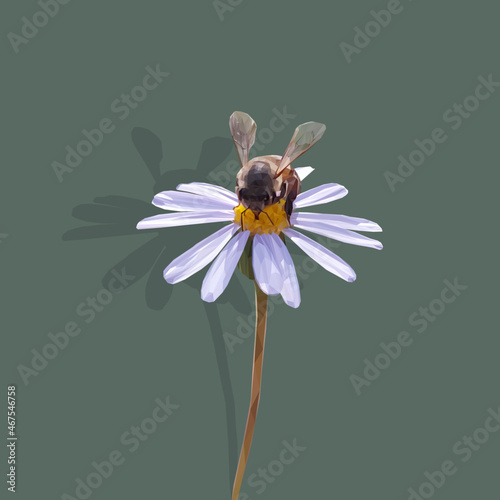 Low poly, illustration, of a bee collecting pollen from a blue aster flower