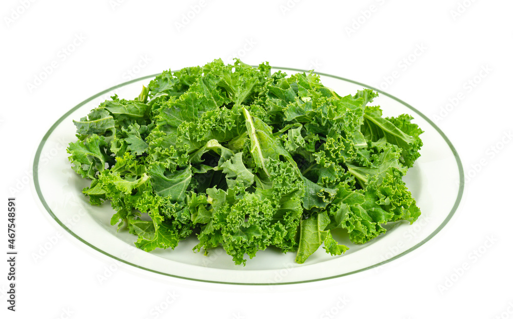 Fresh green kale leaves. Vegetarian menu, healthy diet food Fresh green kale leaves. Vegetarian menu, healthy diet food