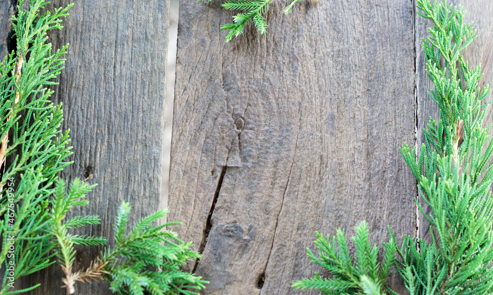 old wooden floor and green pine branches old wooden floor and green pine branches