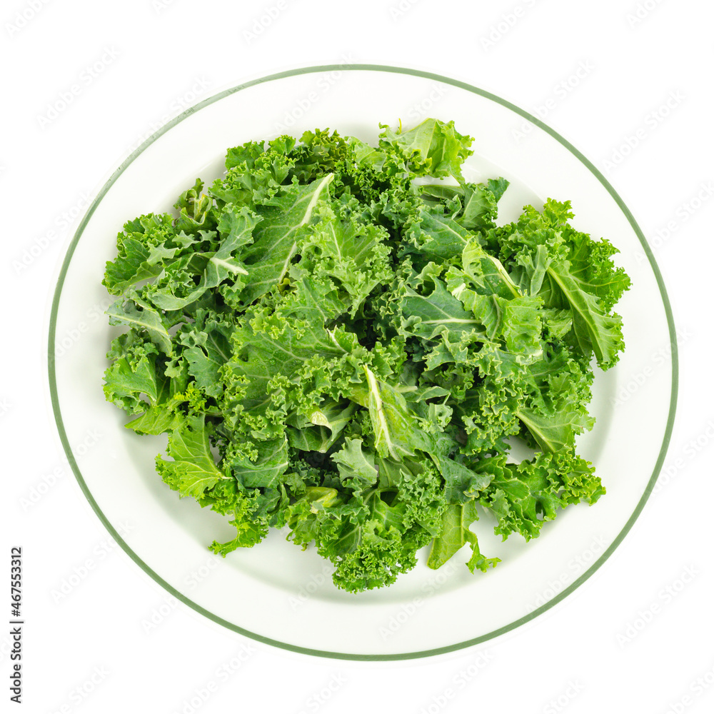 Fresh green kale leaves. Vegetarian menu, healthy diet food Fresh green kale leaves. Vegetarian menu, healthy diet food