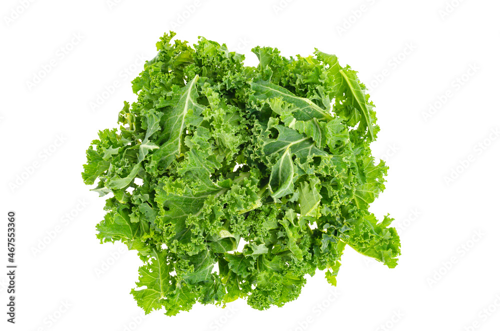 Fresh green kale leaves. Vegetarian menu, healthy diet food Fresh green kale leaves. Vegetarian menu, healthy diet food