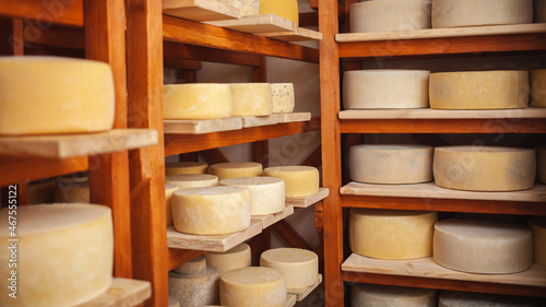 Wooden shelves in basement, cellar with round cheese. Home production from milk, private entrepreneur, business. Indoor. Storage and maturation