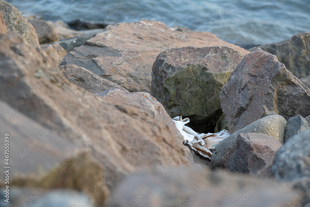 Landscape of trash litter sitting on rocks in Borgarnes Iceland Landscape of trash litter sitting on rocks in Borgarnes Iceland