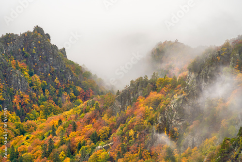 Cozia mountains in autumn