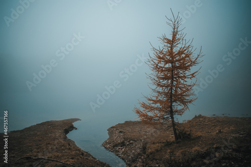 a fantastic view on the mortirolo lake, near brescia photo